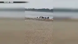 2 swimmers hospitalized in critical condition after being pulled from water at Plum Island Point