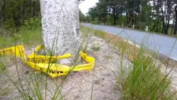 Police searching for driver after deadly hit-and-run in Wellfleet